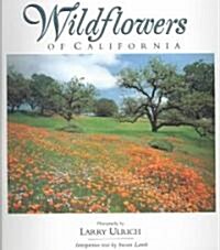 Wildflowers of California (Paperback)