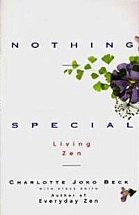 Nothing Special (Paperback, Revised)