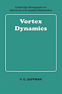 Vortex Dynamics (Paperback)