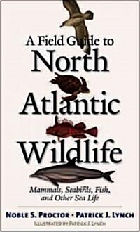A Field Guide to North Atlantic Wildlife: Marine Mammals, Seabirds, Fish, and Other Sea Life (Paperback)
