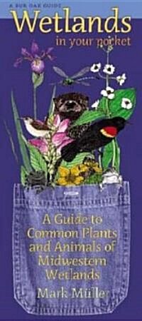 Wetlands in Your Pocket: A Guide to Common Plants and Animals of Midwestern Wetlands (Hardcover)
