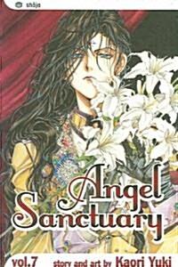 Angel Sanctuary: Volume 7 (Paperback)