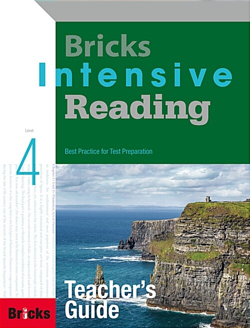 Bricks Intensive Reading Teachers Guide 4