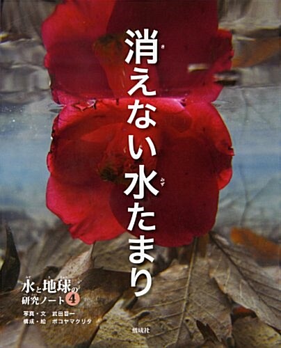 消えない水たまり (水と地球の硏究ノ-ト) (單行本)