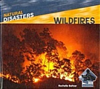 Natural Disasters (Set) (Library Binding)