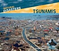 Tsunamis (Library Binding)