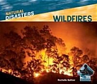 Wildfires (Library Binding)