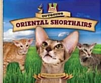 Outgoing Oriental Shorthairs (Library Binding)