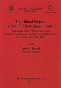 The Gilund Project: Excavations in Regional Context: Proceedings of the 19th Meeting of the European Association of South Asian Archaeolog (Paperback)