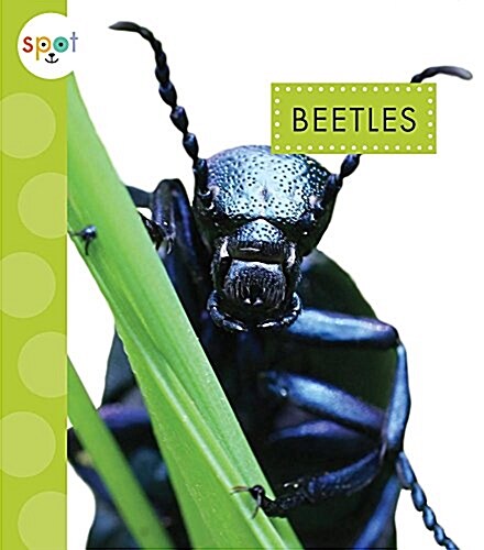 Beetles (Library Binding)