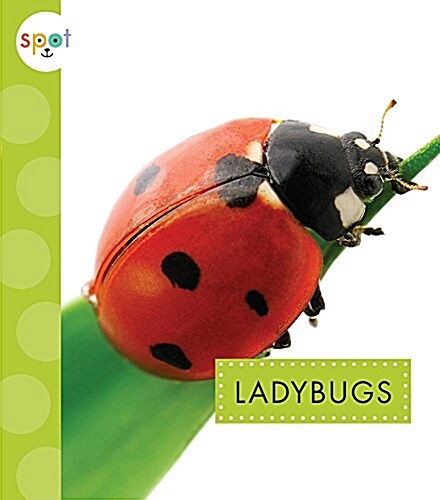 Ladybugs (Library Binding)