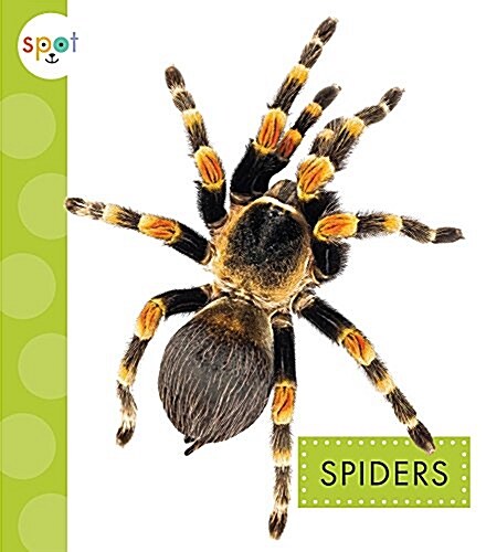 Spiders (Library Binding)