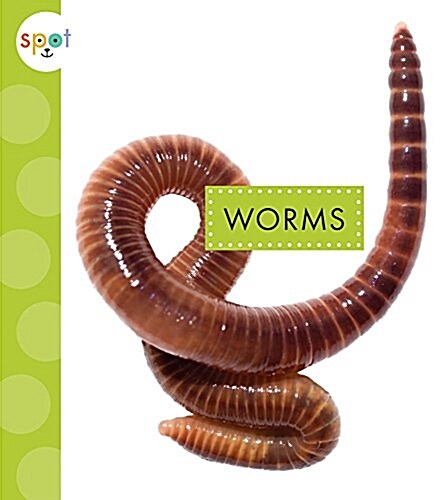 Worms (Library Binding)