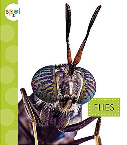 Flies (Library Binding)