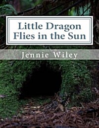 Little Dragon Flies in the Sun (Paperback)