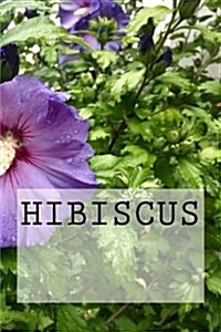 Hibiscus (Paperback)