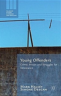 Young Offenders : Crime, Prison and Struggles for Desistance (Paperback, 1st ed. 2015)