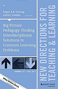 TL151 Big Picture Pedagogy (Paperback)