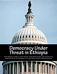 Democracy Under Threat in Ethiopia (Paperback)