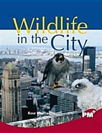 Wildlife in the City PM PLUS Non Fiction Level 27&28 Ruby : Our Changing Environment PM Plus Chapter Books Emerald NF (Paperback, New ed)