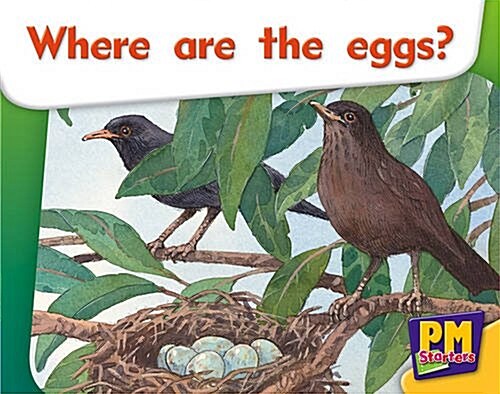 Can You See Eggs? PM Magenta Starters 2-3 (Paperback, New ed)