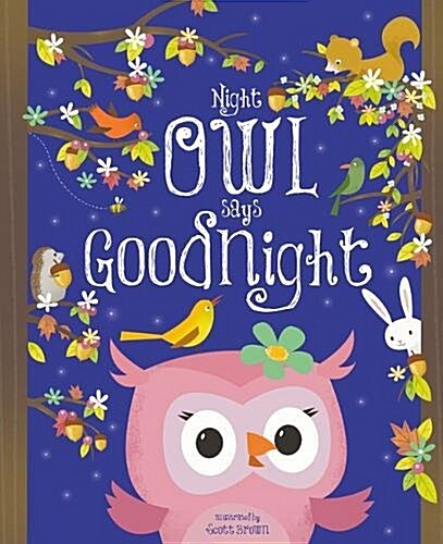 Night Owl Says Goodnight (Paperback)