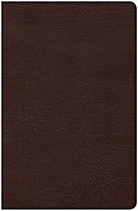 CSB Ultrathin Bible, Brown Leathertouch, Indexed (Imitation Leather)