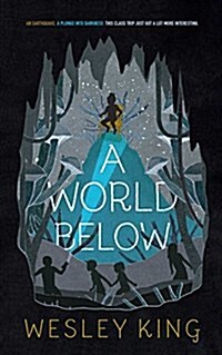 A World Below (Hardcover)