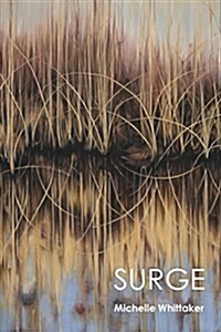Surge (Paperback)