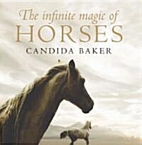 The Infinite Magic of Horses (Paperback)