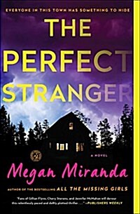 The Perfect Stranger (Paperback)