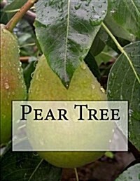 Pear Tree (Paperback)