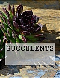 Succulents (Paperback)