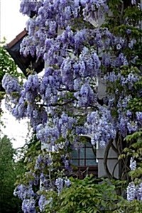 Breathtaking Purple Wisteria Spring Flowers Journal: 150 Page Lined Notebook/Diary (Paperback)