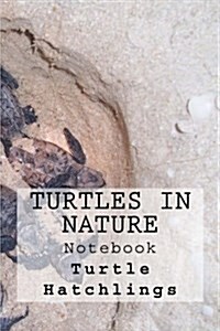 Turtles in Nature Notebook: Notebook with 150 Lined Pages (Paperback)