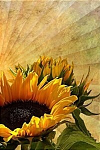 The Saintly Sentinel Sunflower (Paperback)