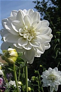 An Awesome White Dinner Plate Dahlia in a Sunny Flower Garden Journal: 150 Page Lined Notebook/Diary (Paperback)