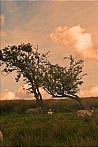 A View of a Sunrise on the Yorkshire Moors England Journal: 150 Page Lined Notebook/Diary (Paperback)