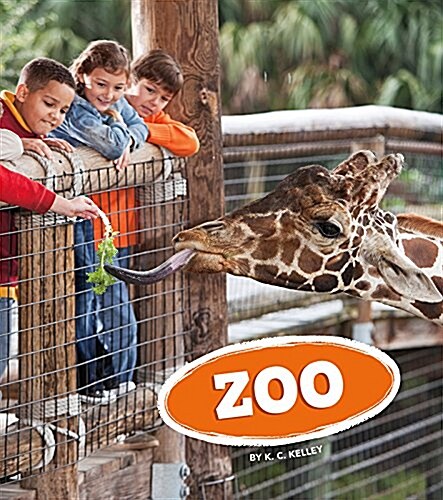 Zoo (Paperback)