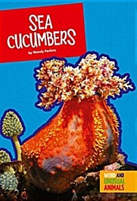 Sea Cucumbers (Paperback)