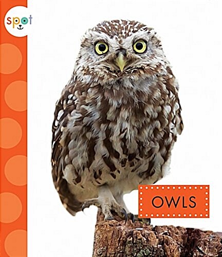 Owls (Paperback)