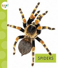 Spiders (Paperback)