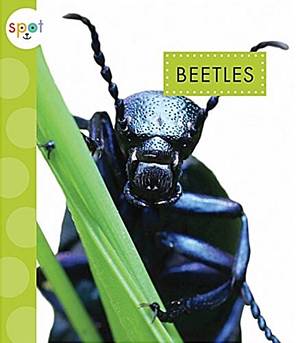 Beetles (Paperback)