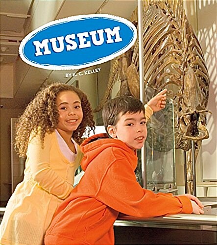 Museum (Paperback)