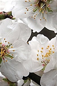 Pretty White Almond Flowers on the Tree in Spring Journal: 150 Page Lined Notebook/Diary (Paperback)