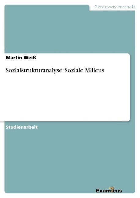 Sozialstrukturanalyse: Soziale Milieus (Paperback)