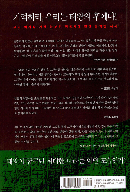 광개토태왕 : 손정미 역사소설