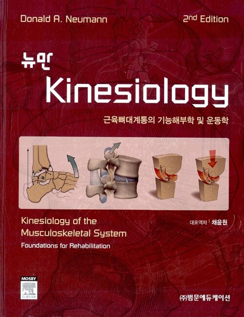 [중고] 뉴만  Kinesiology