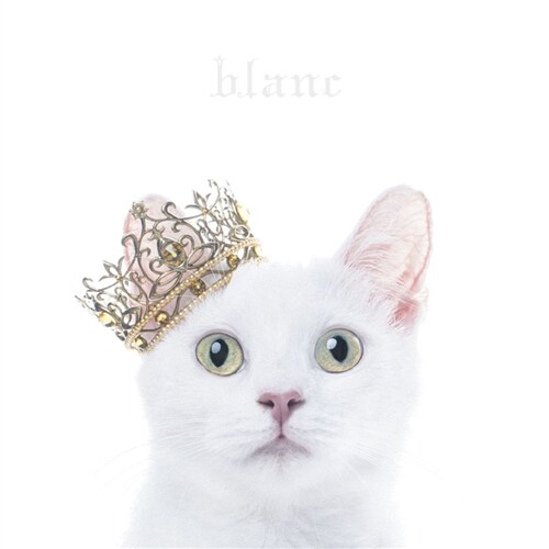 [중고] Aimer - Best Selection blanc