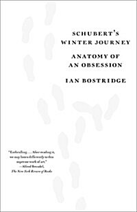 Schuberts Winter Journey: Anatomy of an Obsession (Paperback)
